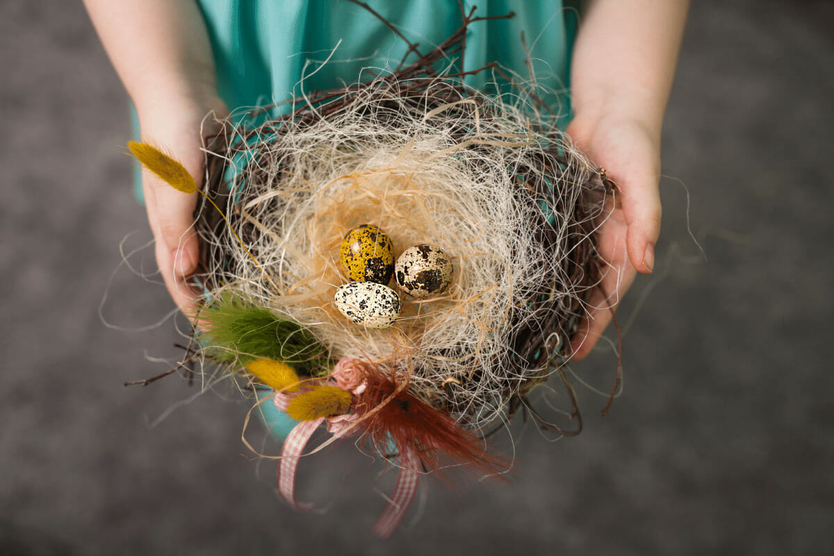 bird nesting co parenting